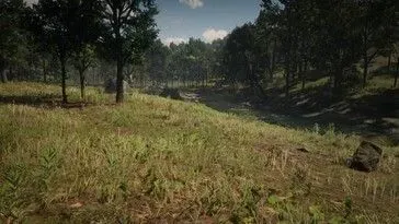 Ilustrasi csm a location from rdr2 is also shown in the extended edition v0 eyq8vm05o0mh127 85524a330d Easter Egg GTA 6 Ini Hanya Disadari Fans Berat RDR2