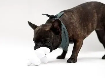 Ilustrasi csm dog mode chew toy86 8b9bcafa61 Tesla Jual Mainan Anjing yang Bisa Diisi Selai Kacang