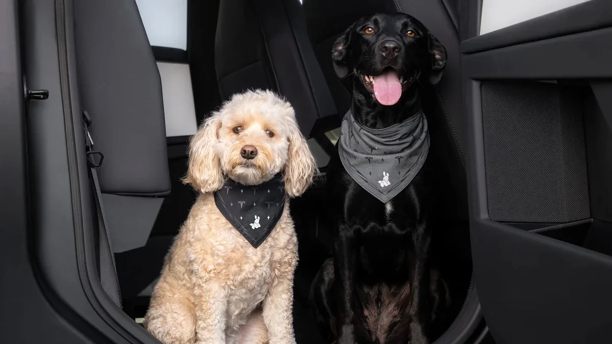 Aksesori Tesla Dog Mode berupa mainan kunyah dan perlengkapan hewan peliharaan