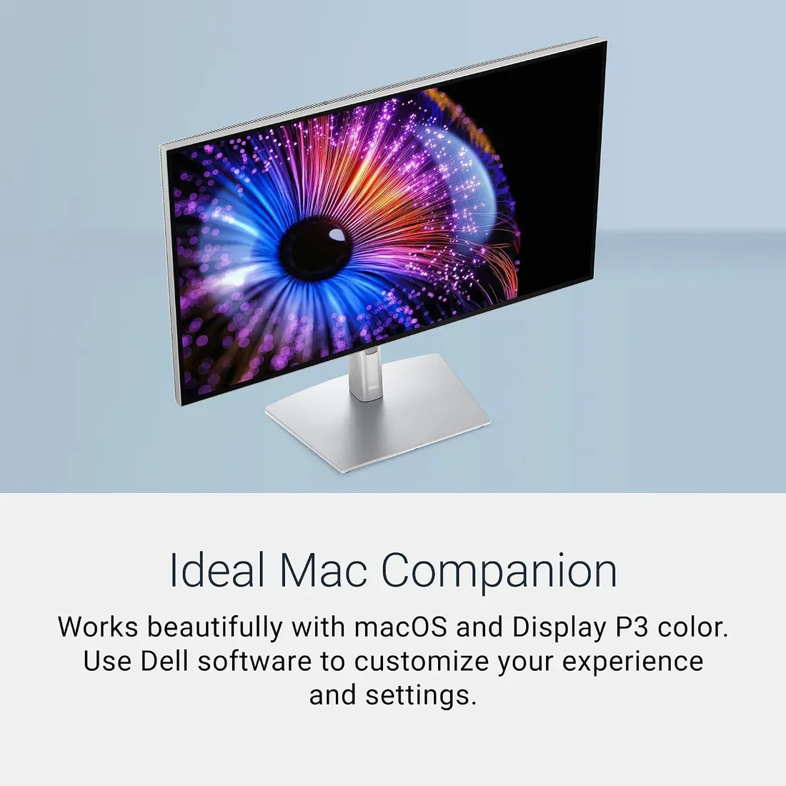 Tampilan monitor Dell UltraSharp U3226QER mendukung ekosistem macOS